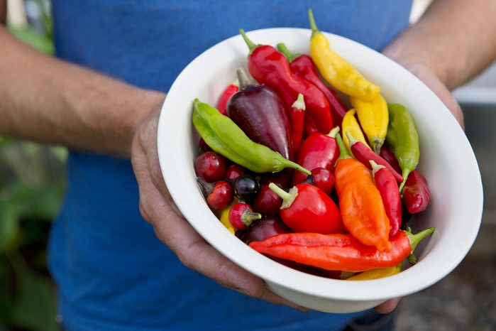 How to grow chillies - chilli varieties to try How to grow chillies - chilli varieties to try