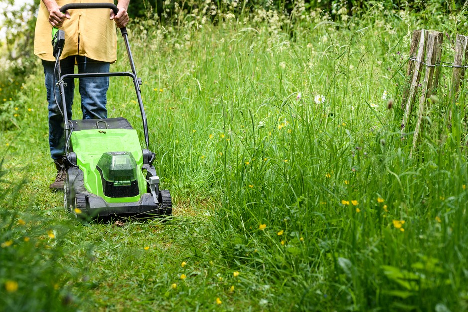 Mowing a path through wild lawn. Jason Ingram Mowing a path through wild lawn. Jason Ingram