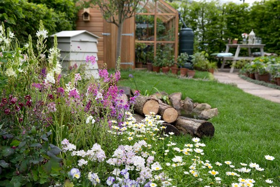 Garden with log pile and flowers for wildlife