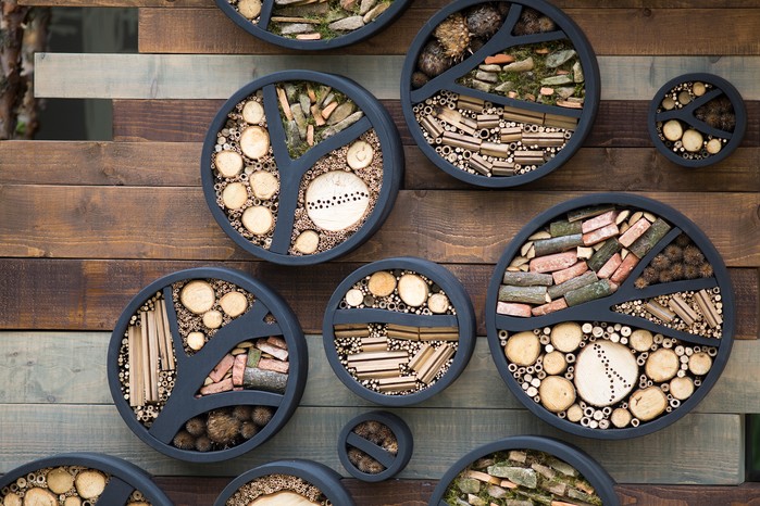 Bug hotel Bug hotel