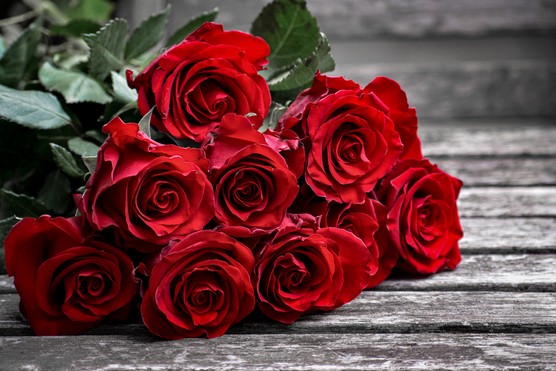 Red roses for Valentine's Day. Getty Images