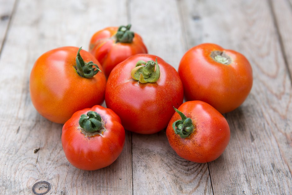 How to grow tomatoes How to grow tomatoes