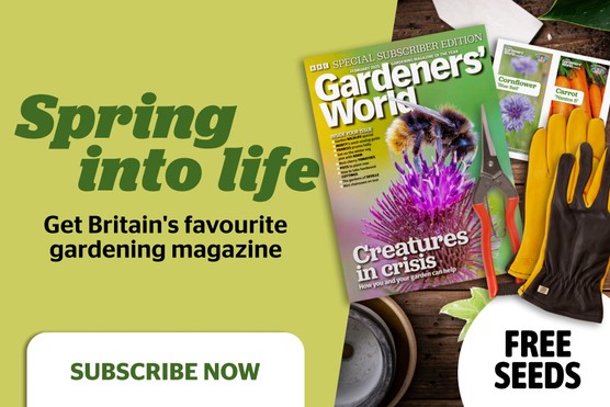 Subscribe to BBC Gardeners' World Magazine