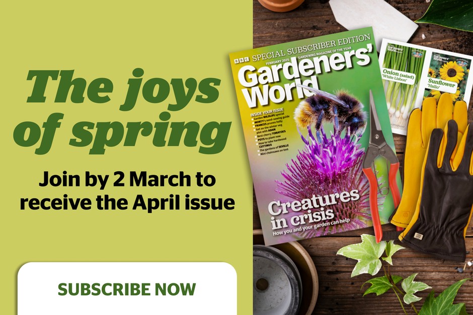 Subscribe to BBC Gardeners' World Magazine