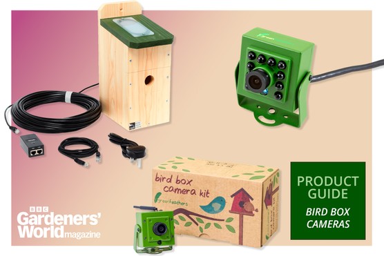 Bird box cameras product guide BBC Gardeners' World Magazine