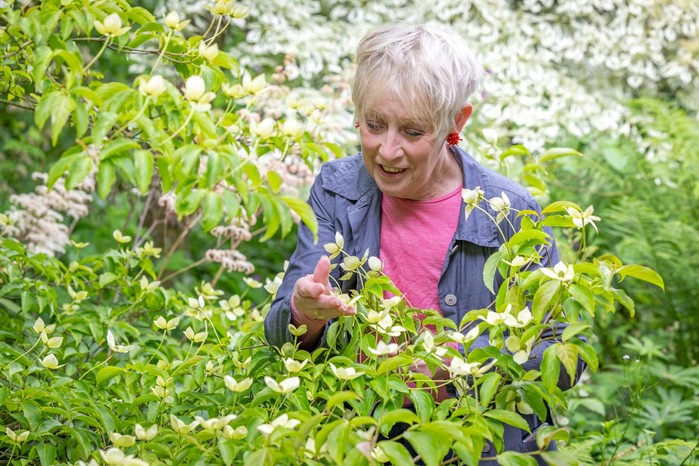 Carol-Klein_050624_Jonathan-Buckley_24_0605_040_preview Carol Klein on choosing trees, Jonathan Buckley