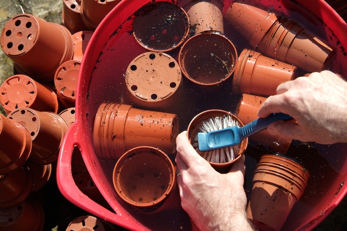 Scrubbing plastic plant pots clean Scrubbing plastic plant pots clean