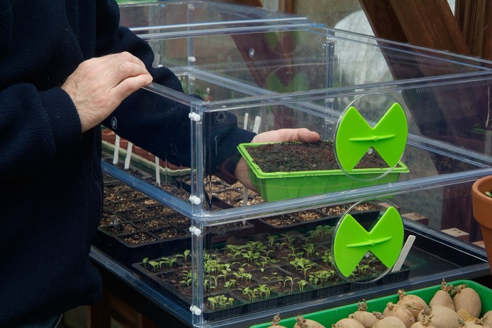 Sowing seed early - using a heated propagator Sowing seed early - using a heated propagator