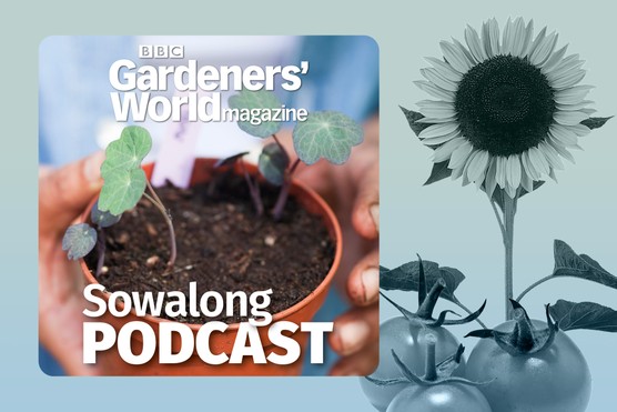 BBC Gardeners' World Magazine Sowalong Podcast
