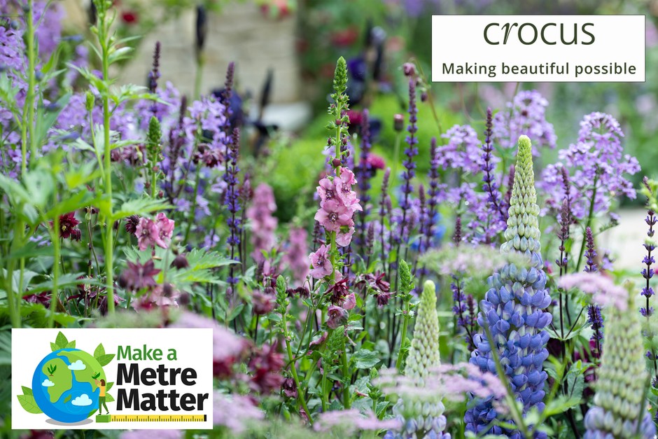 Make a Metre Matter prize draw with Crocus
