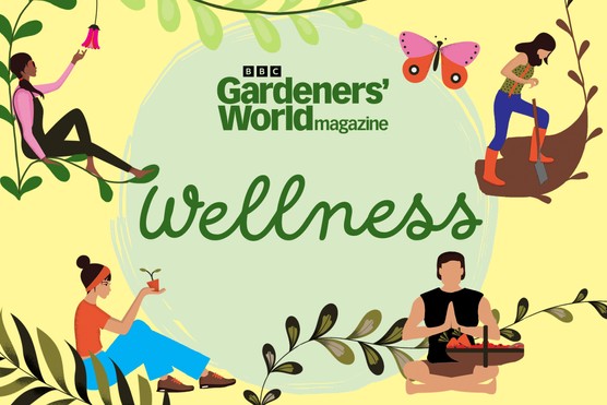 Wellness podcast series