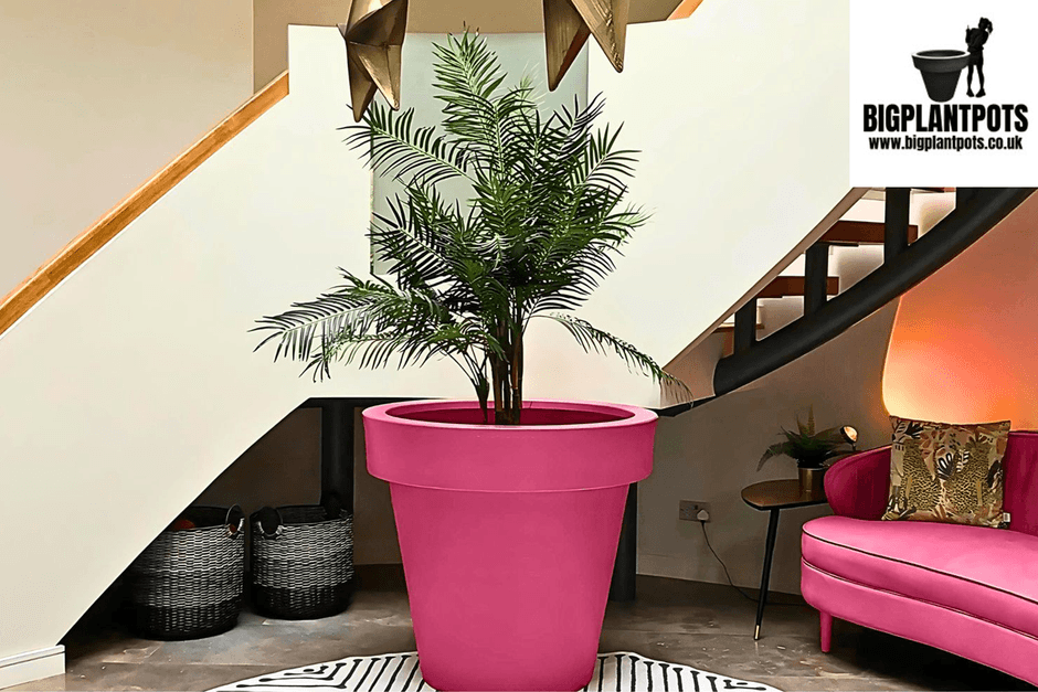 Big Plant Pot 'Tubby' indoors